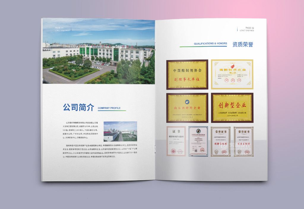 台州企业宣传册设计公司