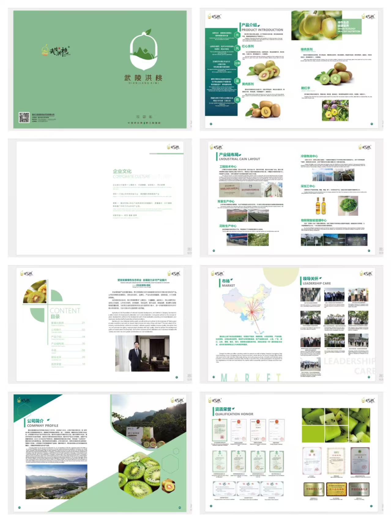 常州企业画册制作-特色猕猴桃品牌设计案